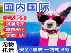 石家庄航空快运国际宠物托运 【国